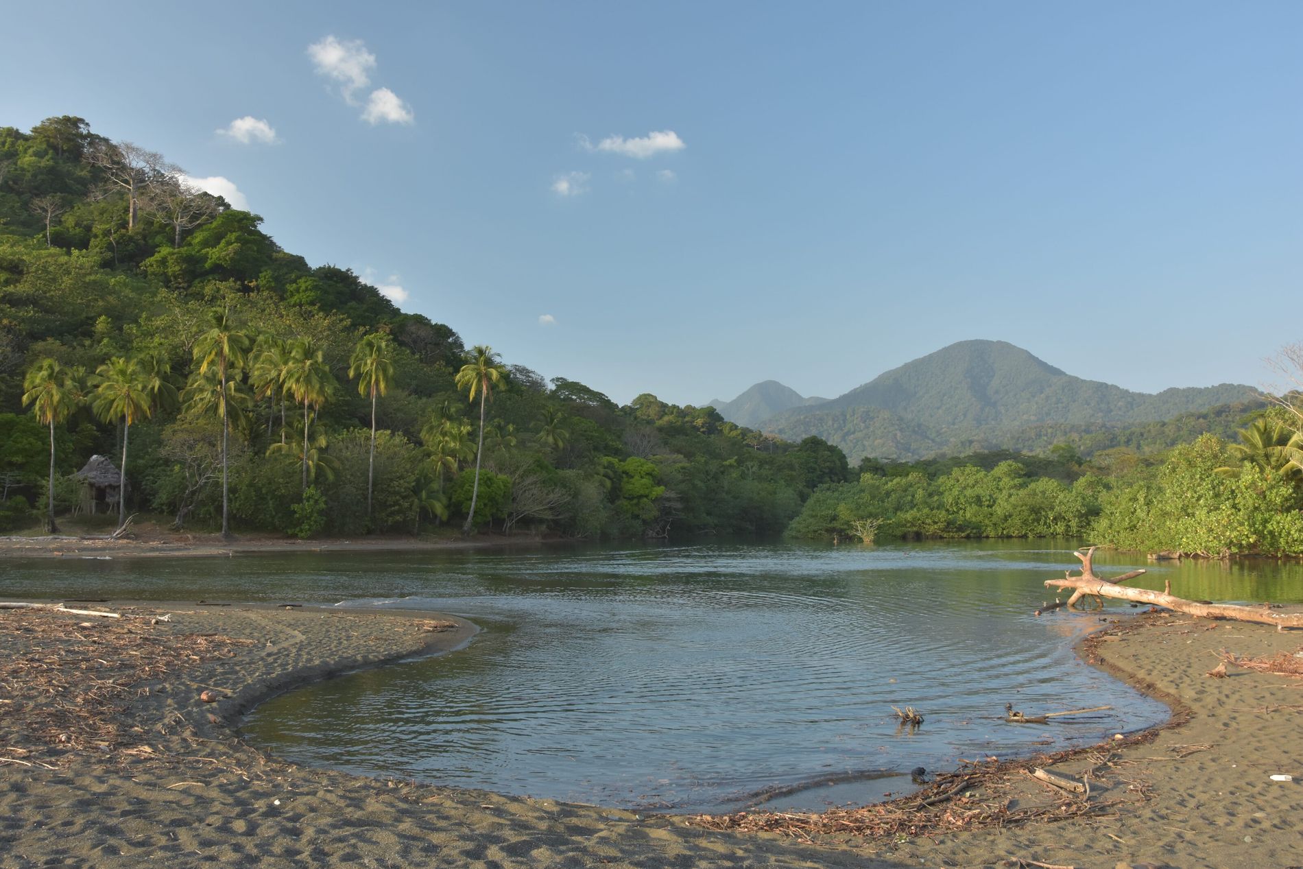 Selva del Darién: la peligrosa ruta de migración entre Colombia y Panamá